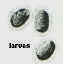 Larvas